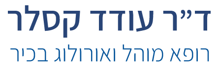 לוגו